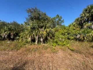 Property for sale at LOT 4 MATTOX CIRCLE, NORTH PORT, FL, 34288