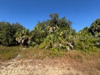 Property for sale at LOT 4 MATTOX CIRCLE, NORTH PORT, FL, 34288