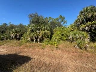 Property for sale at LOT 4 MATTOX CIRCLE, NORTH PORT, FL, 34288