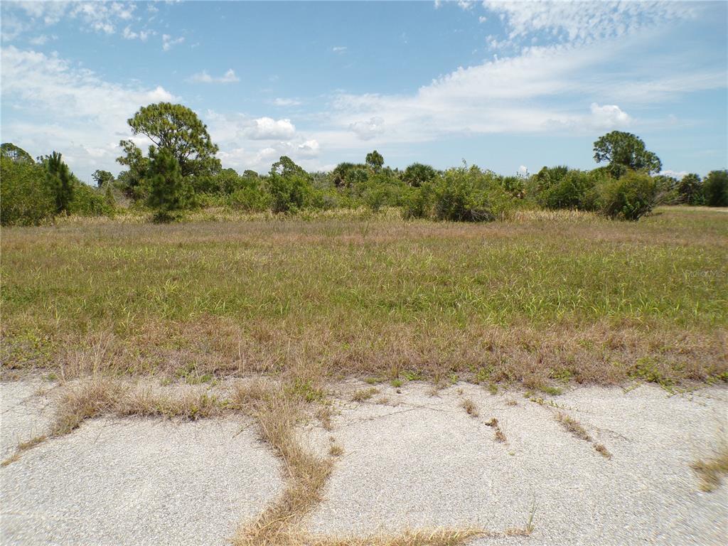 Property for sale at 13222 PORGY WAY, PLACIDA, FL, 33946