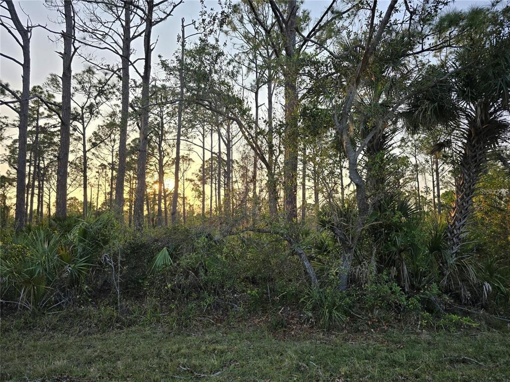 Property for sale at 2497 HOOVER STREET, PORT CHARLOTTE, FL, 33953