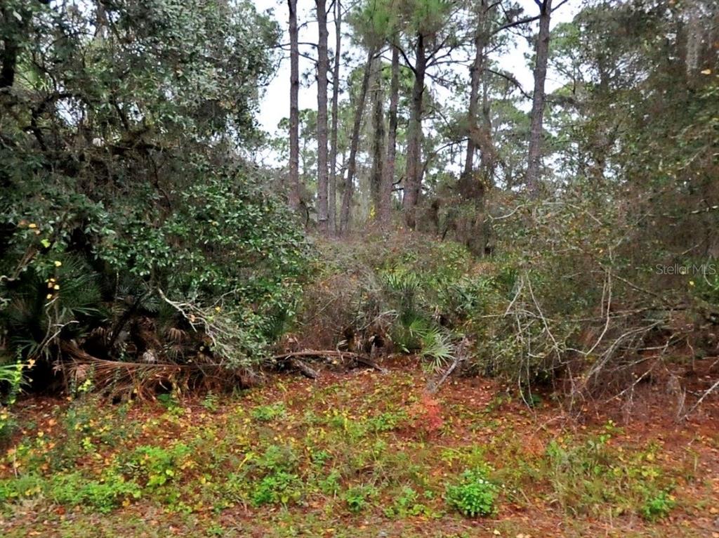Property for sale at NEON AVENUE, NORTH PORT, FL, 34291