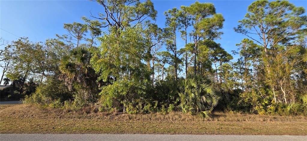 Property for sale at 13262 GORMAN AVENUE, PORT CHARLOTTE, FL, 33981
