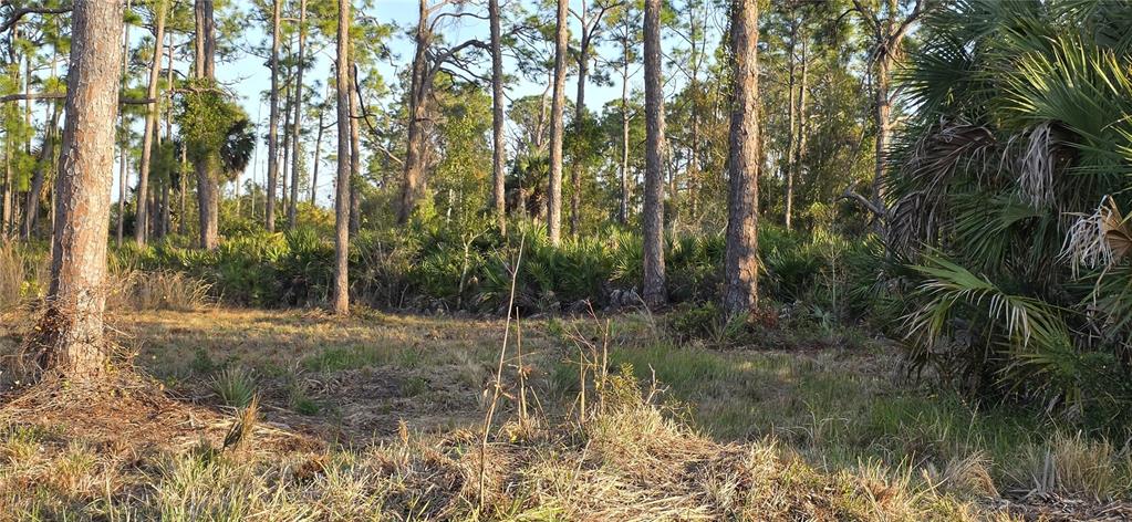 lot behind 13262 Gorman