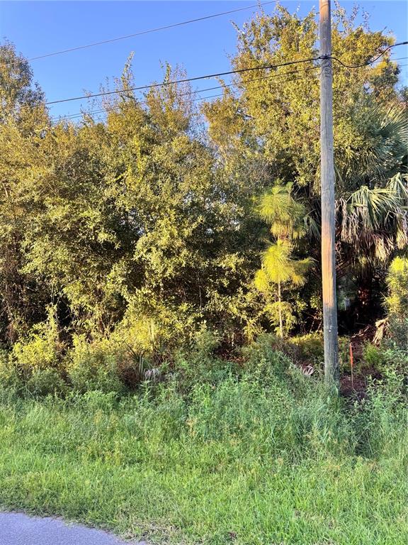 Property for sale at COLORADE AVENUE, NORTH PORT, FL, 34286