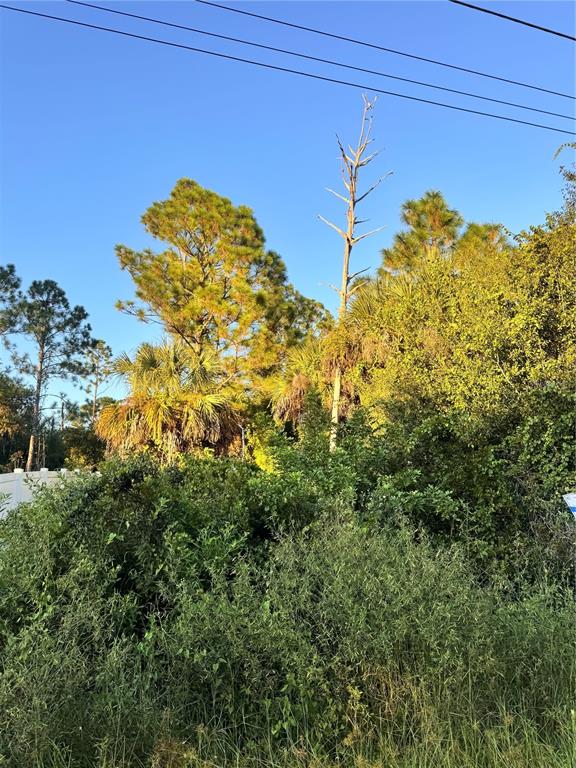 Property for sale at COLORADE AVENUE, NORTH PORT, FL, 34286