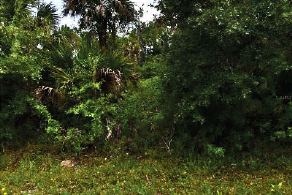 Property for sale at SULTAN AVENUE, NORTH PORT, FL, 34286