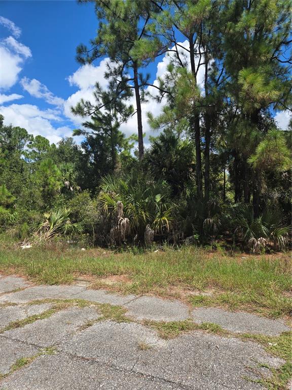 Property for sale at NANCE STREET, NORTH PORT, FL, 34288