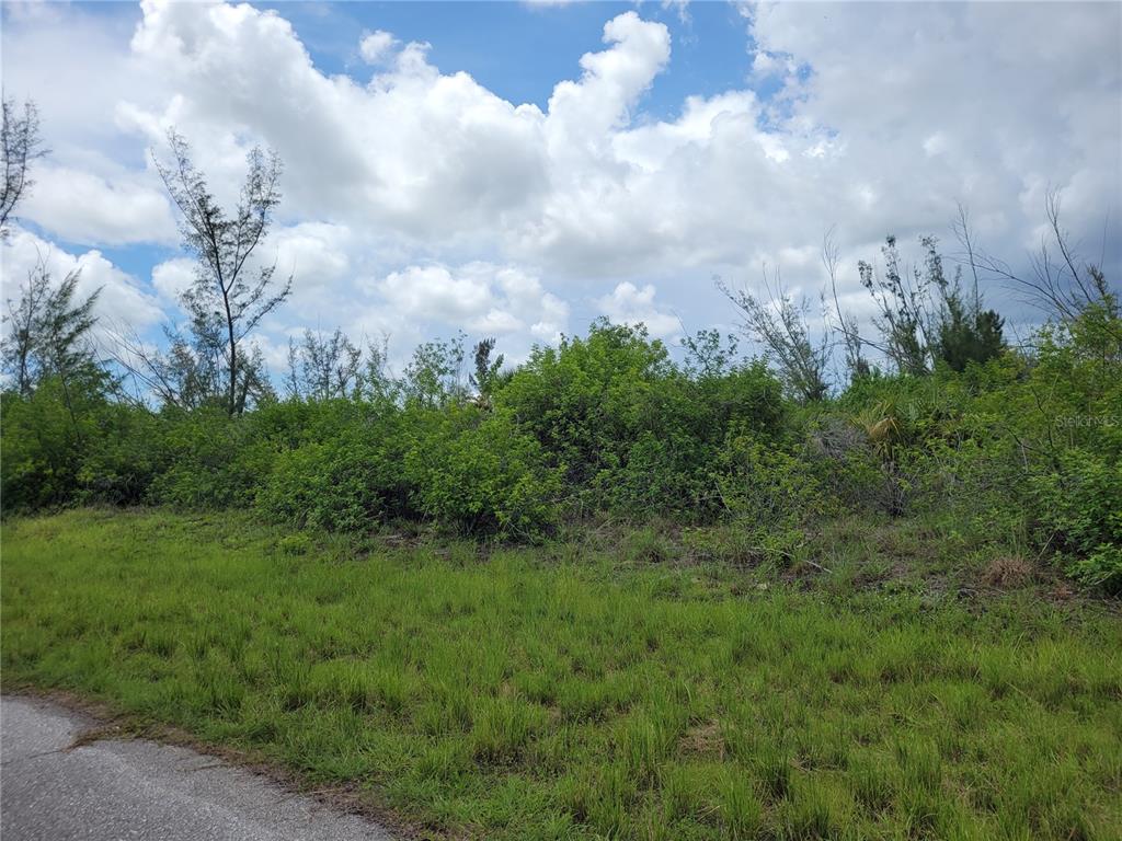 Property for sale at 10136 AMY TERRACE, PORT CHARLOTTE, FL, 33981