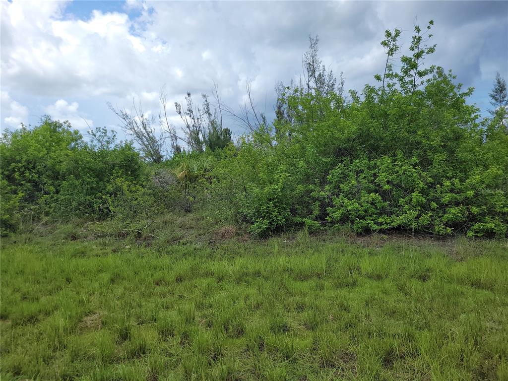 Property for sale at 10136 AMY TERRACE, PORT CHARLOTTE, FL, 33981