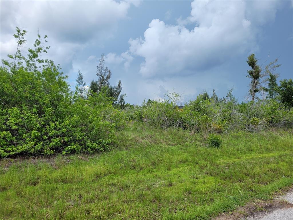 Property for sale at 10136 AMY TERRACE, PORT CHARLOTTE, FL, 33981