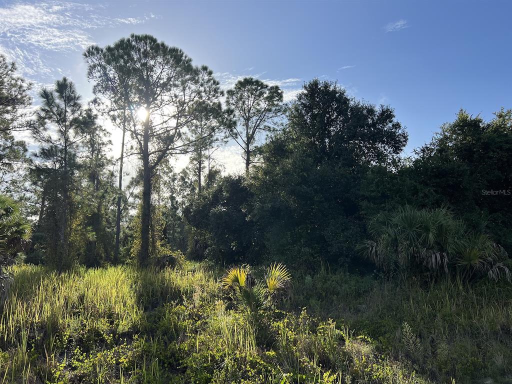 Property for sale at HAMERTON ROAD Lot 12, NORTH PORT, FL, 34288