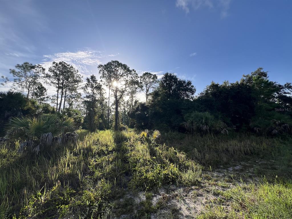 Property for sale at HAMERTON ROAD Lot 12, NORTH PORT, FL, 34288