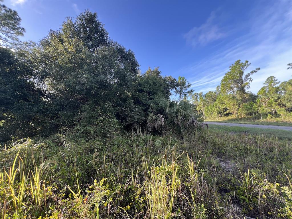 Property for sale at HAMERTON ROAD Lot 12, NORTH PORT, FL, 34288