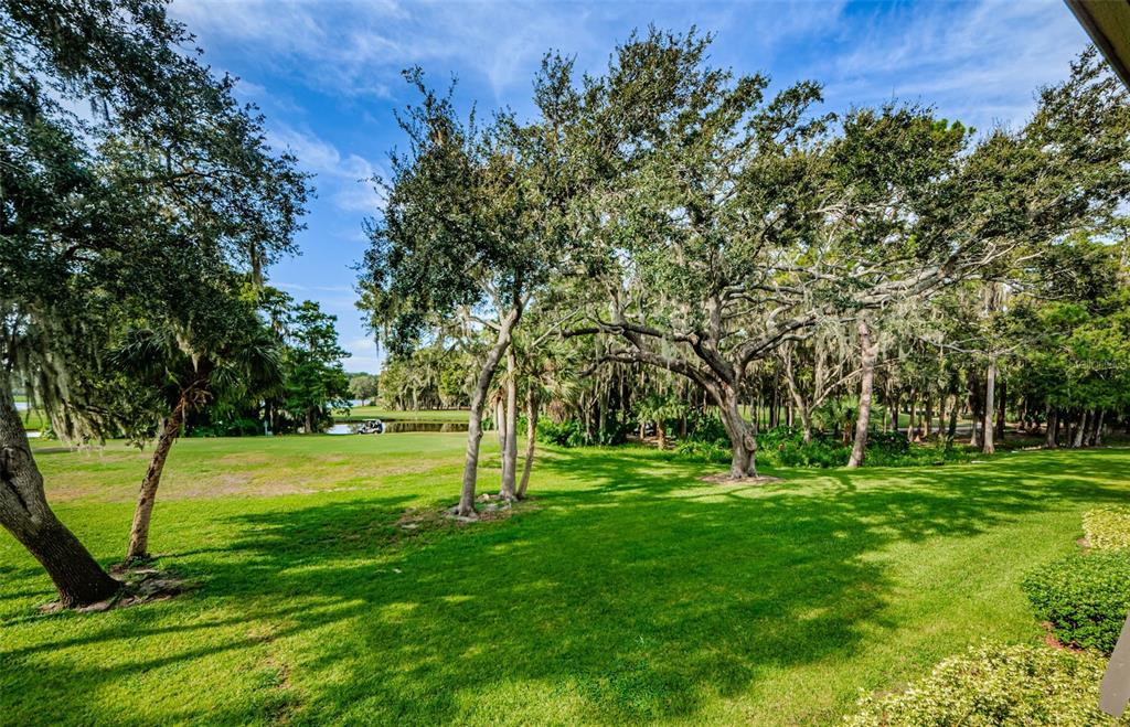 PRIVATE BALCONY VIEW OF ISLAND COURSE FROM CONDO