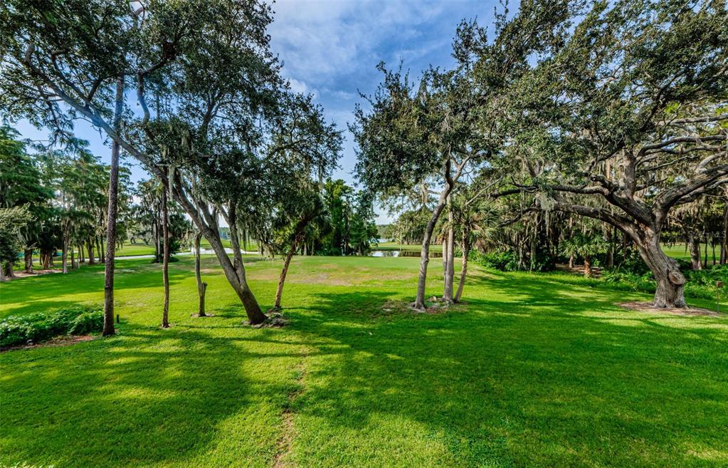 PRIVATE BALCONY VIEW OF ISLAND COURSE
