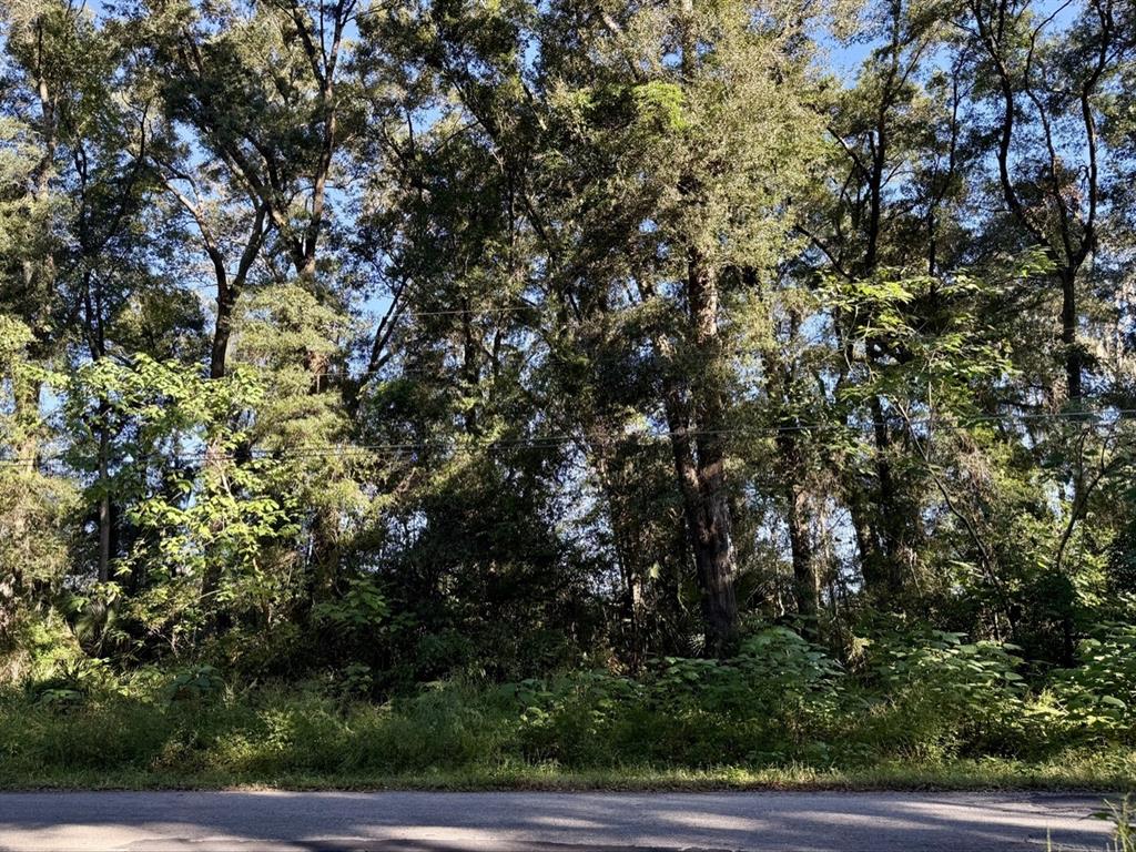 Property for sale at TBD NW 65TH PLACE, OCALA, FL, 34471